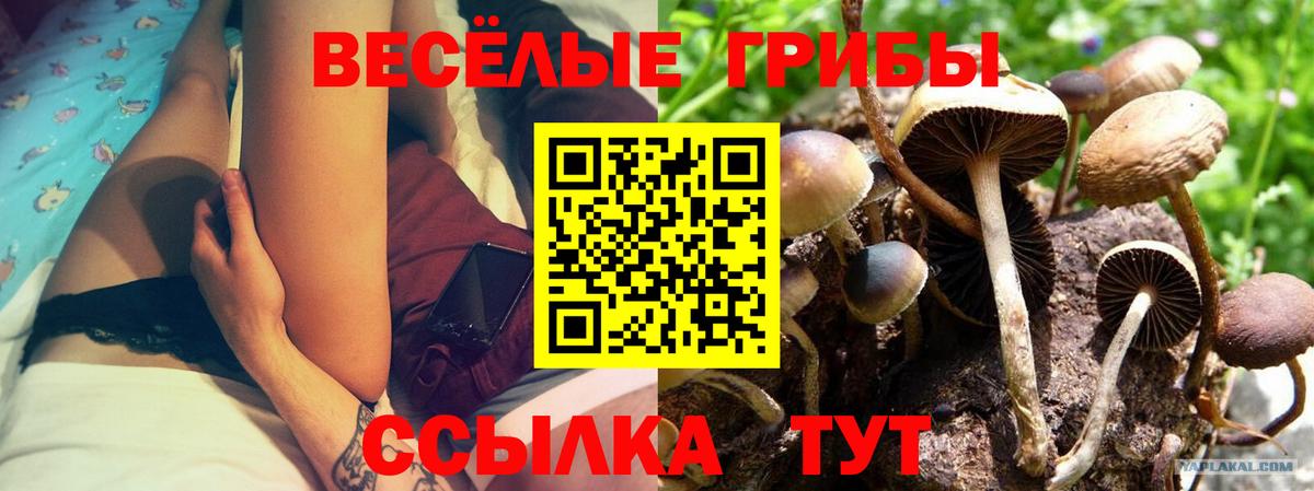 Галлюциногенные грибы ЛСД Крымск
