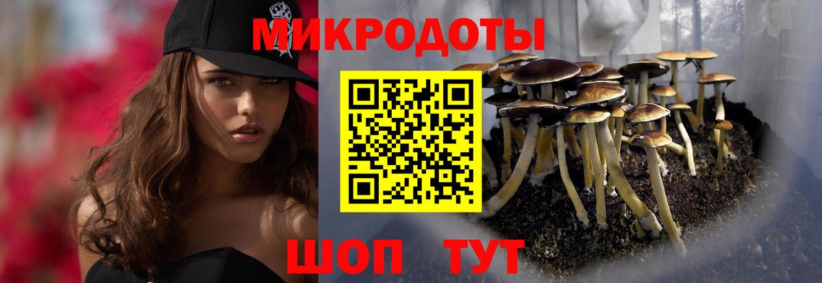 Крымск  Псилоцибиновые грибы MAGIC MUSHROOMS  Вход с VPN 